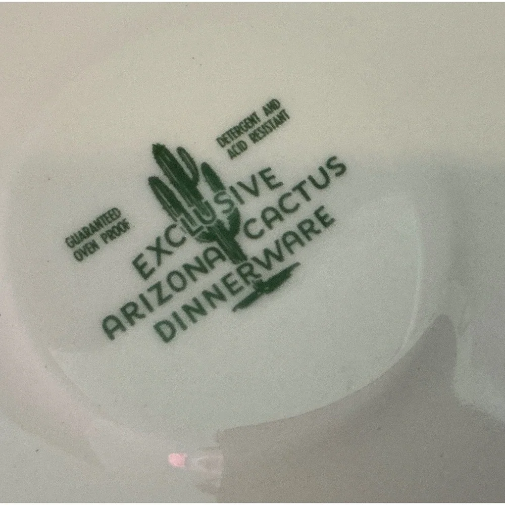 Other Brand Vintage Arizona Cactus Teacup Saucer Set Organ Pipe Cholla Desert 2p